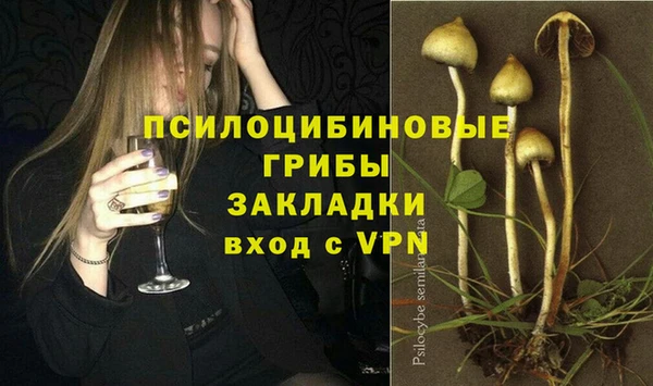 мяу мяу кристалл Горняк