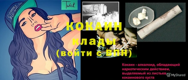 индика Галич