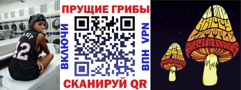 магазин продажи Байкальск Галлюциногенные грибы GOLDEN TEACHER